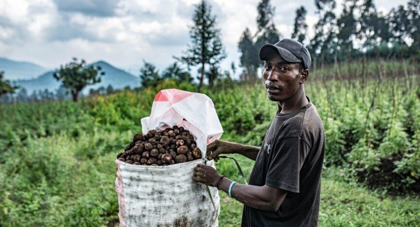 DRCongo: Most Fertile Land Written Off, From the Blue Community Water Journalists Africa: The harvest is real The crisis is ignored Why the most fertile land i