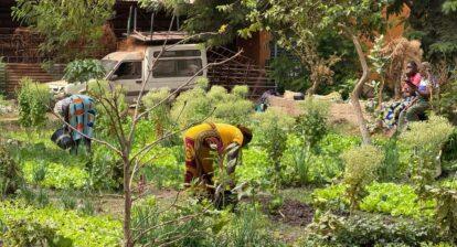 World Waternet in Burkina Faso, From the newly designated Blue Community Amsterdam and its World Waternet: Equitable water management works when everyone is he